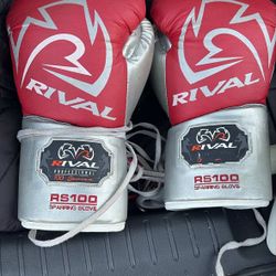 Rival Boxing Gloves