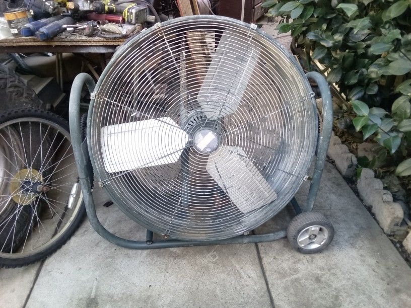 Dayton Mobile Floor Fun 29" Height 29" Width