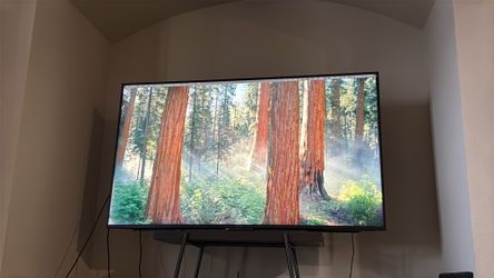 Sony Bravia 65” 4K TV