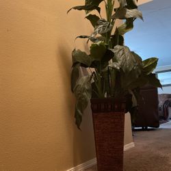 Plastic Plants 5.5 Tall 