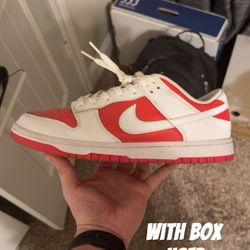 Men’s Nike dunks