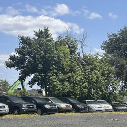 BMW Honda Mercedes mercury ford Nissan Toyota Jeep Land Rover Range Rover Gmc Audi Honda