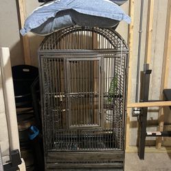 Bird Cage 