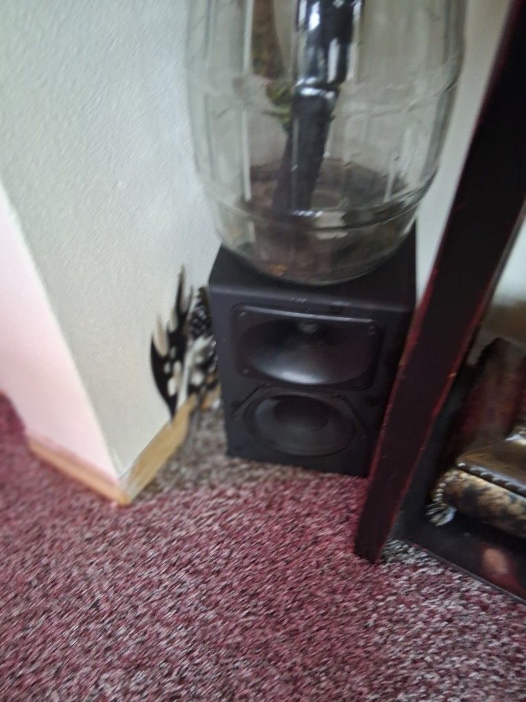 Two Custom Buikt Speakers