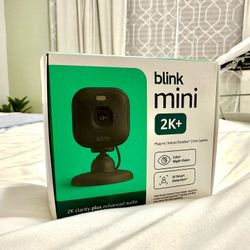 Blink Mini 2k 