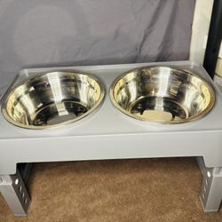 Elevated Dog Bowls! Brand new In Box!