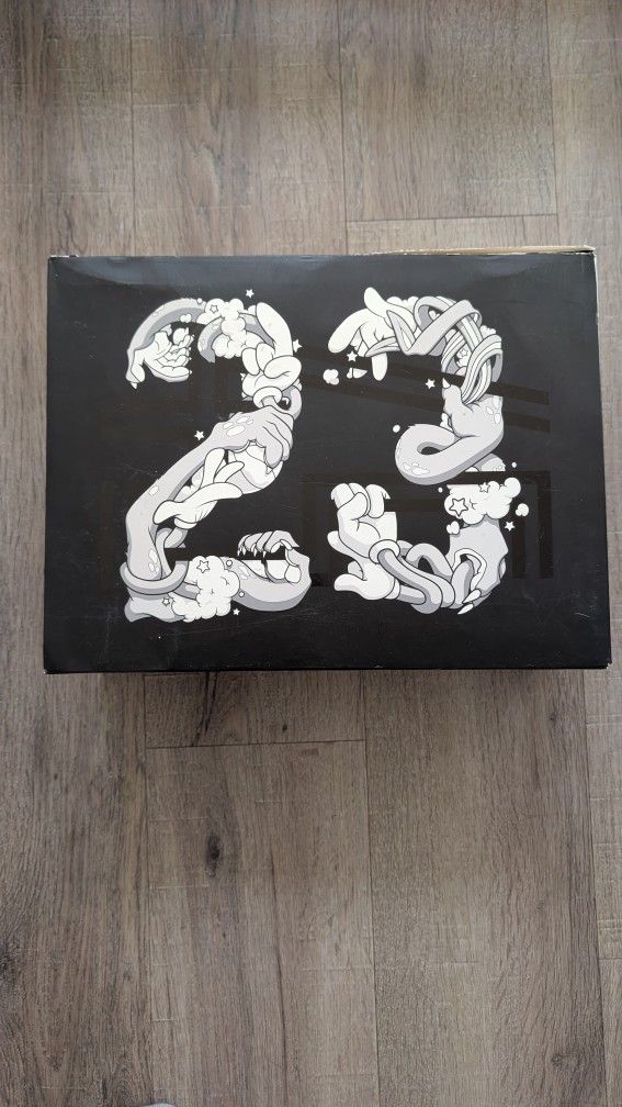 Jordan 23 Shoes. Worn Once.