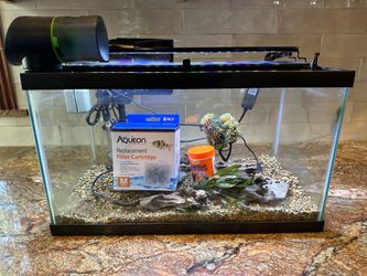 10G Glass Fish Tank Aquarium Setup with Accessories