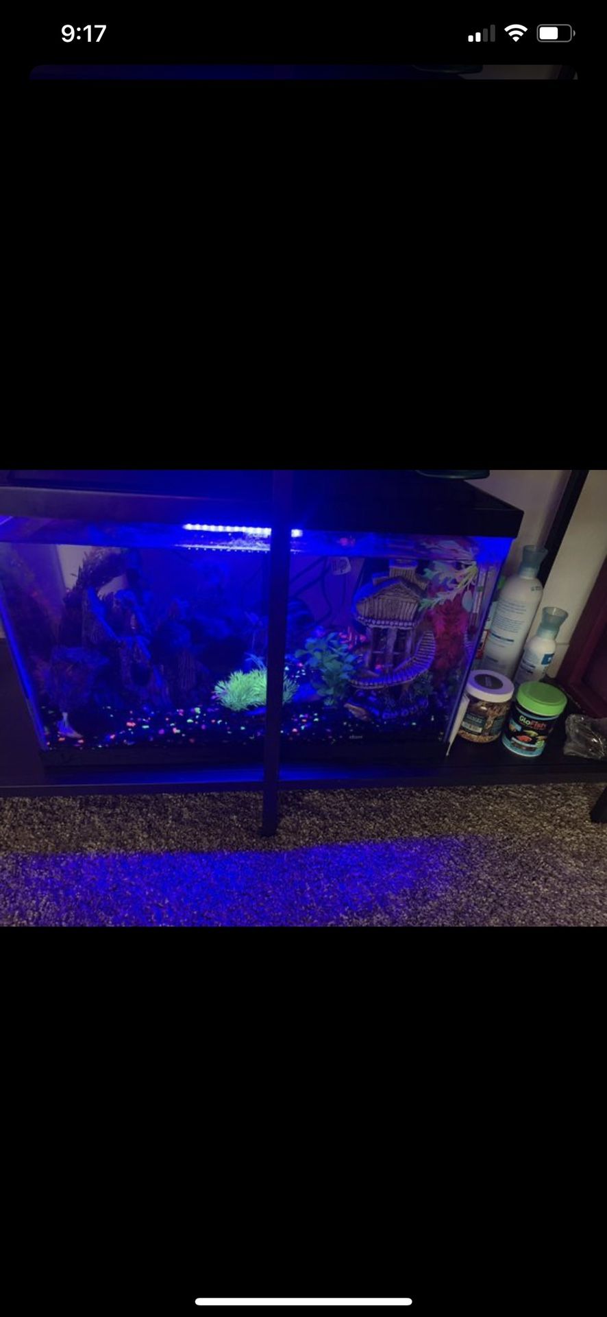 Fish tank and accessories