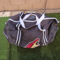 Jr. Coyote Hockey Equipment And Bag