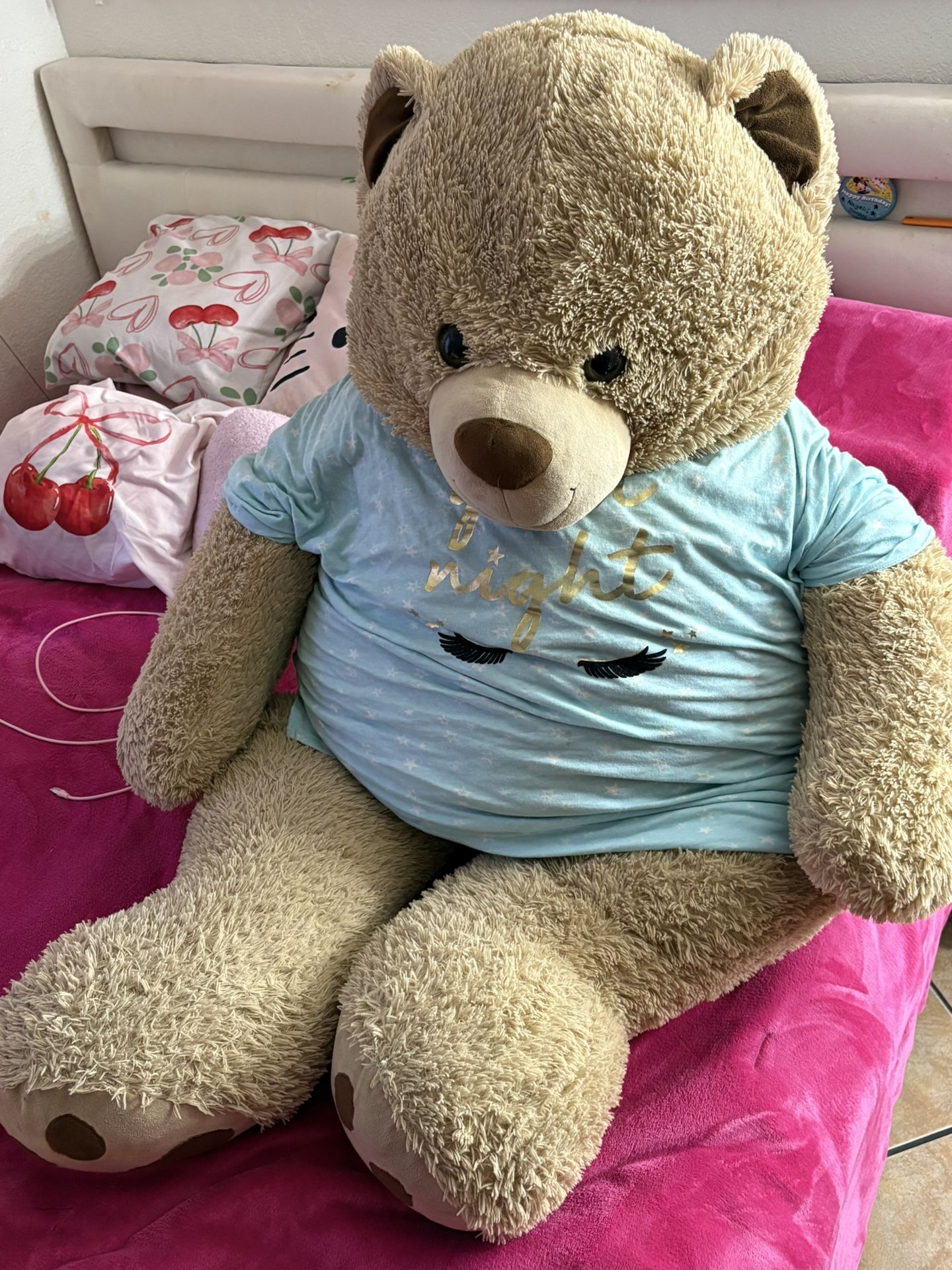 Big Teddy Bear 🧸 