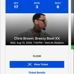 Chris Brown Concert Ticket! 