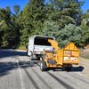Silver Maple Tree Service 