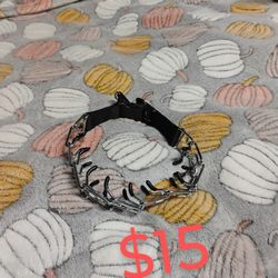 Dog Prong Collar