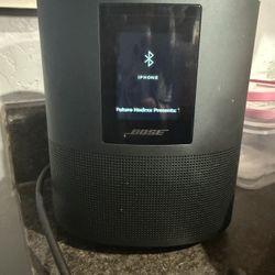 Boss Speaker 