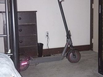 Alloweek E-Scooter