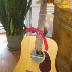 Martin Hpl Acoustic & HSC