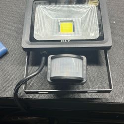 Security Light LED 