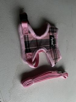Leash And Harnest