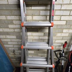Little Giant Ladder