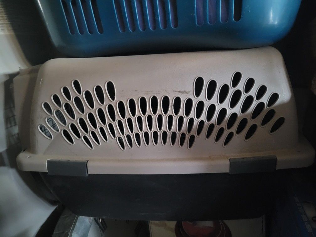 Medium Dog Kennel