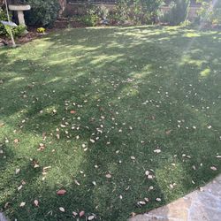 Cleaning , Repair , Brooming
