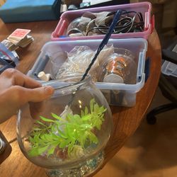 Fish Bowl & Equipment