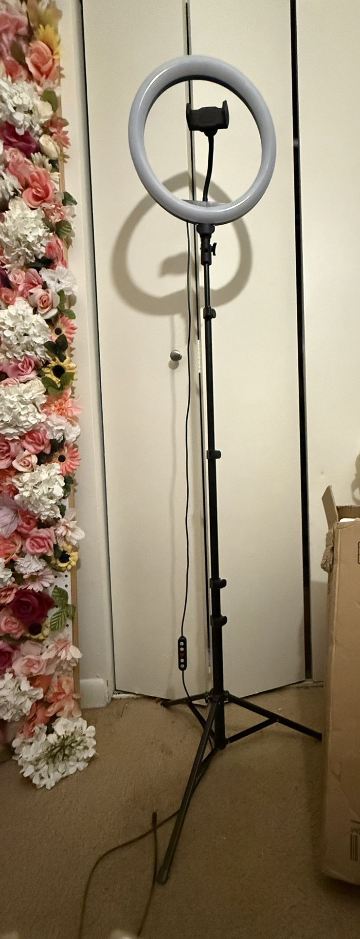 12” Ring Light with stand 72” tall with 1 phone holder.