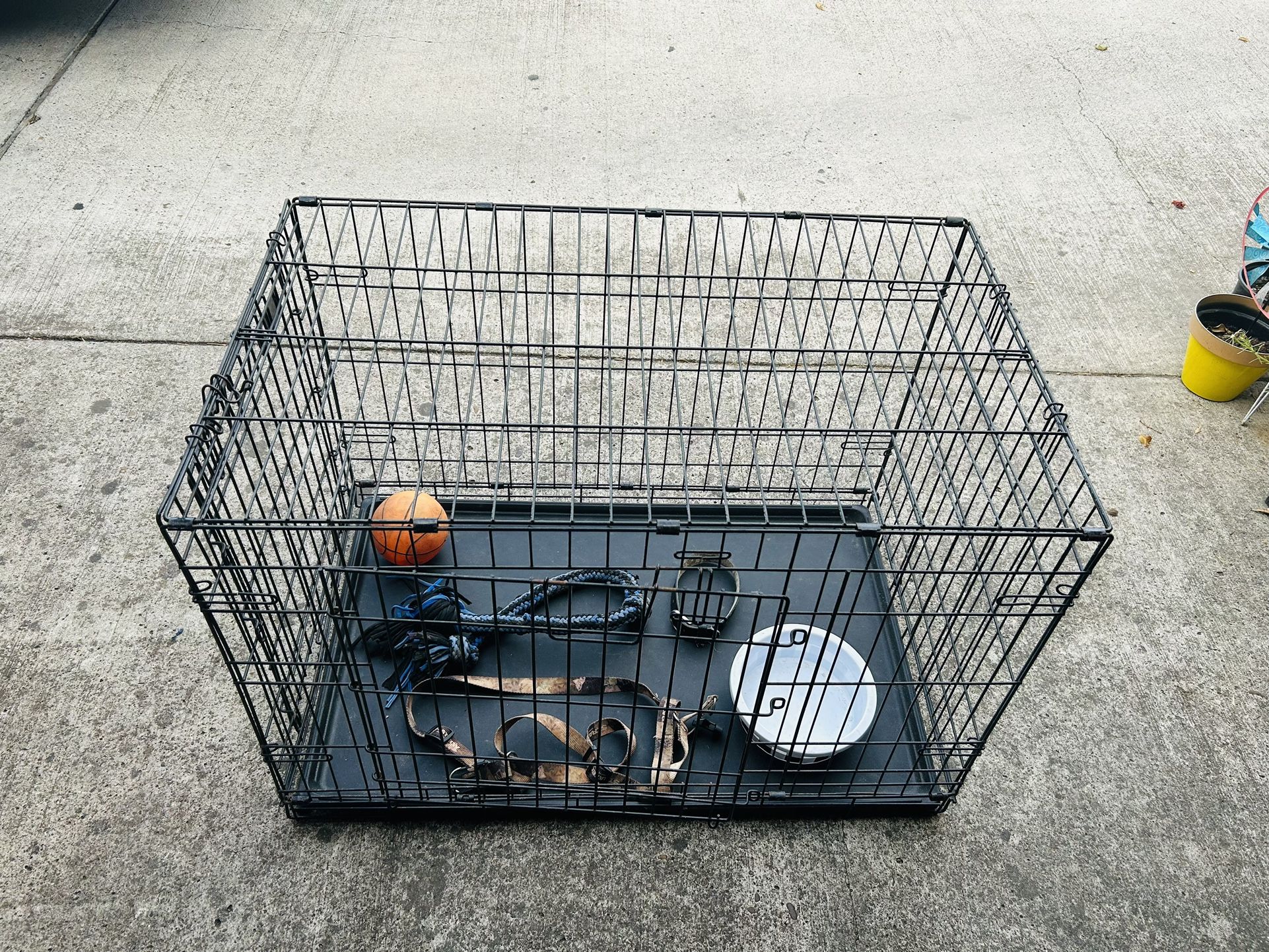 Dog Training Cage 