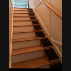 Pet Stair Wedge 