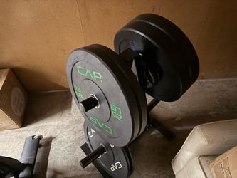Olympic  Bumper Plates + plate tree - 160 LBs