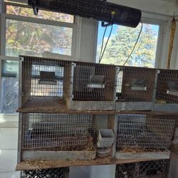 Cages