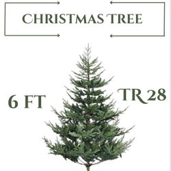 6FT 6 Foot Artificial Christmas Tree, Nordic Pine Hinged Xmas Tree with 795 Realistic Branches, Wide Steel Base, Auto Open, Green (TR28)