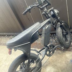 Electric Bike 