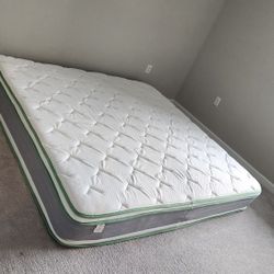 One food size and one queen size whip frame two tables