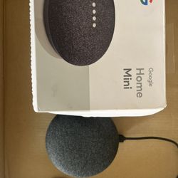 Google Home Mini