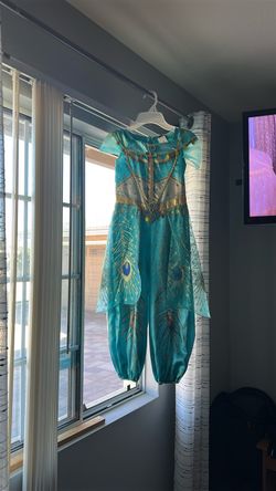Princess Jasmine costume