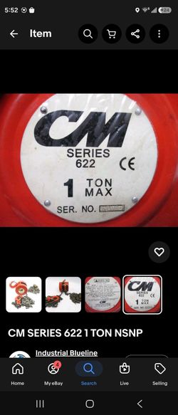 Chain hoist  lift 20'