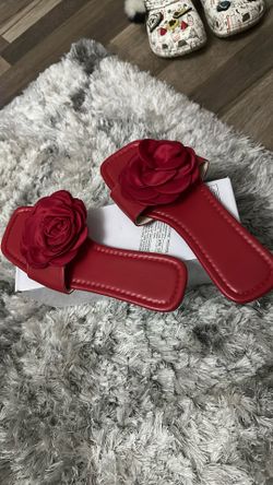 Red Slippers