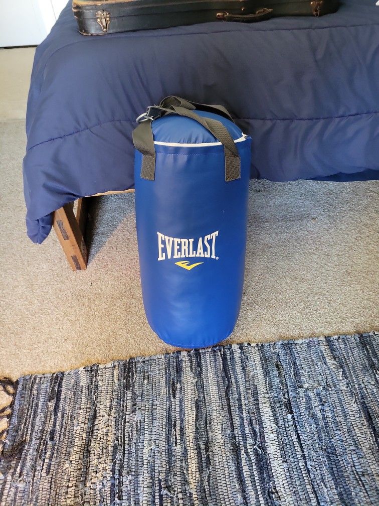 Everlast Childs Punching Bag