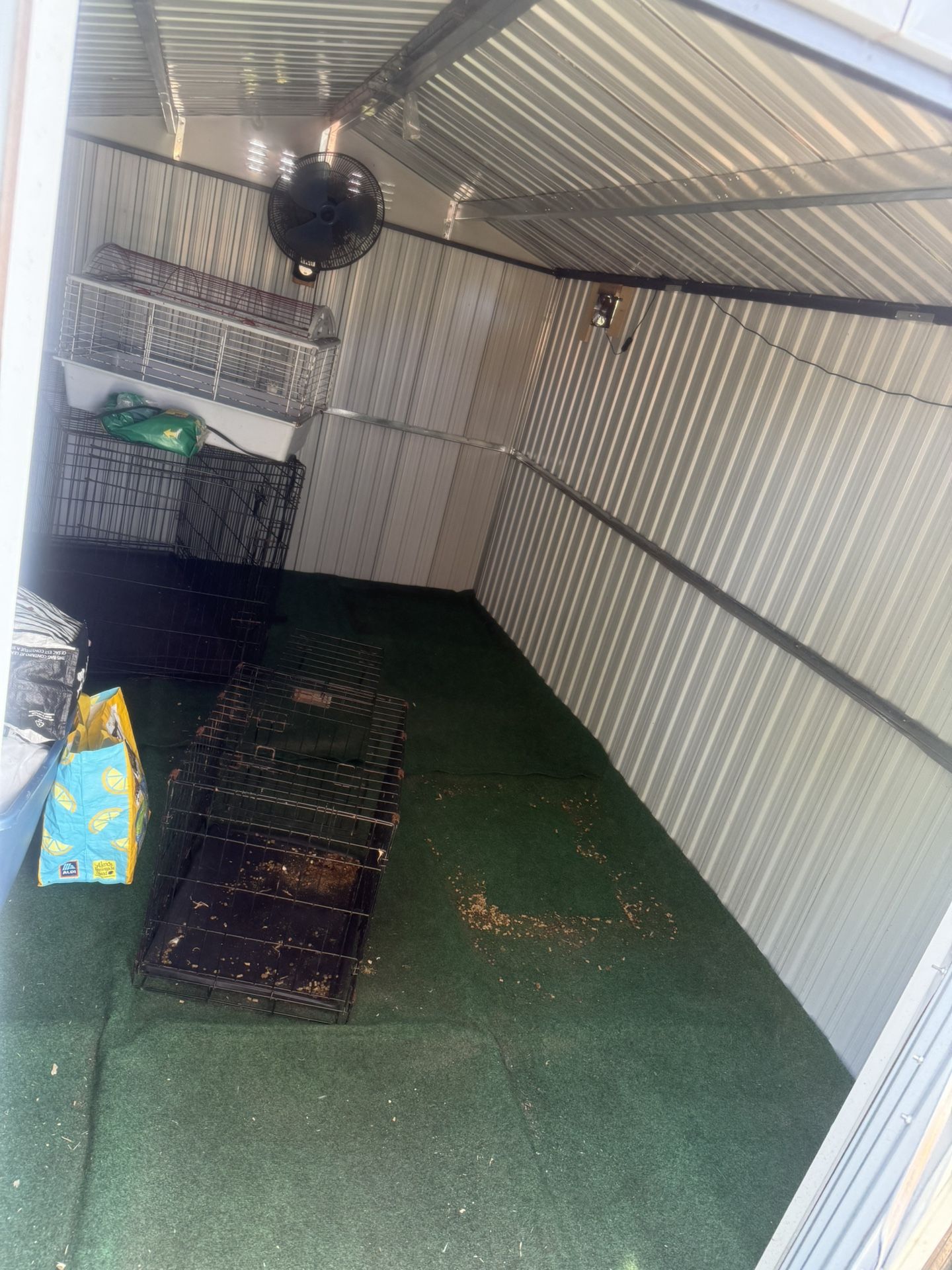 Shed 