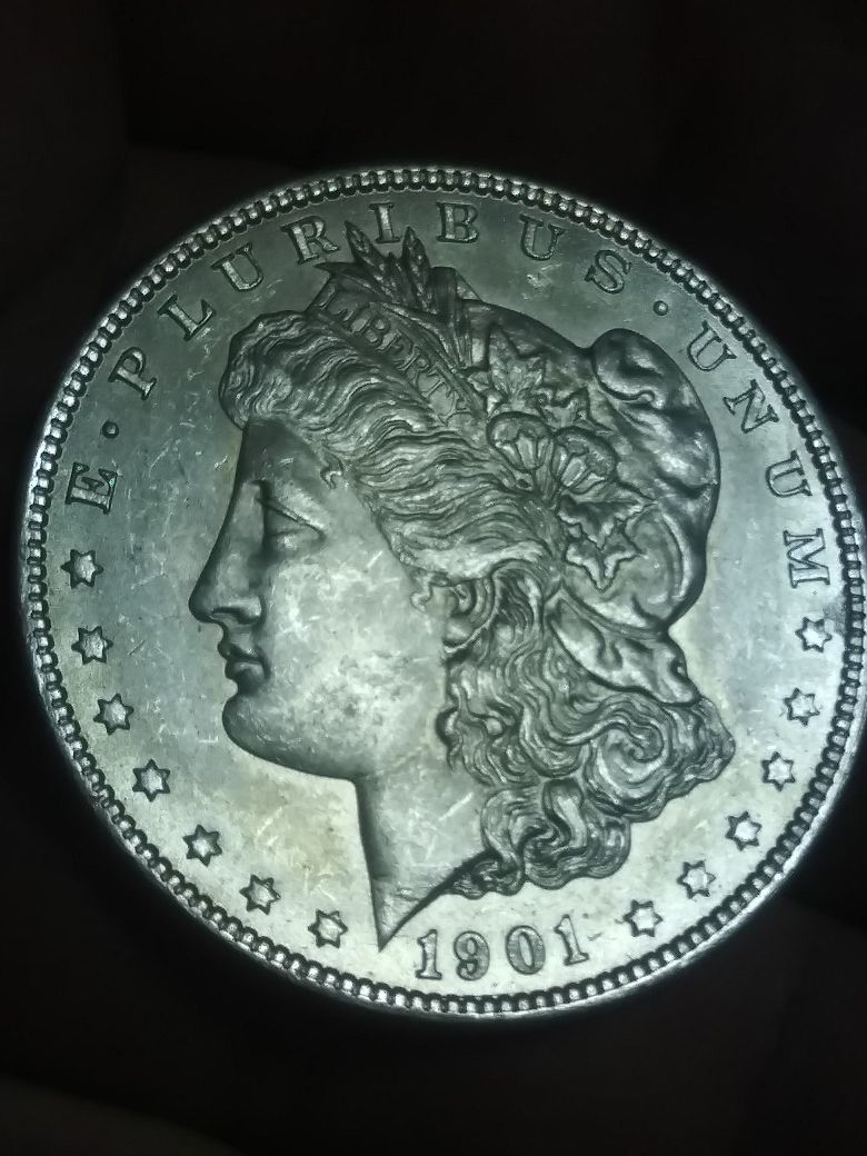 Beautiful 1901o silver Morgan dollar