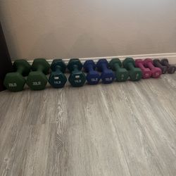 Dumbbell Set