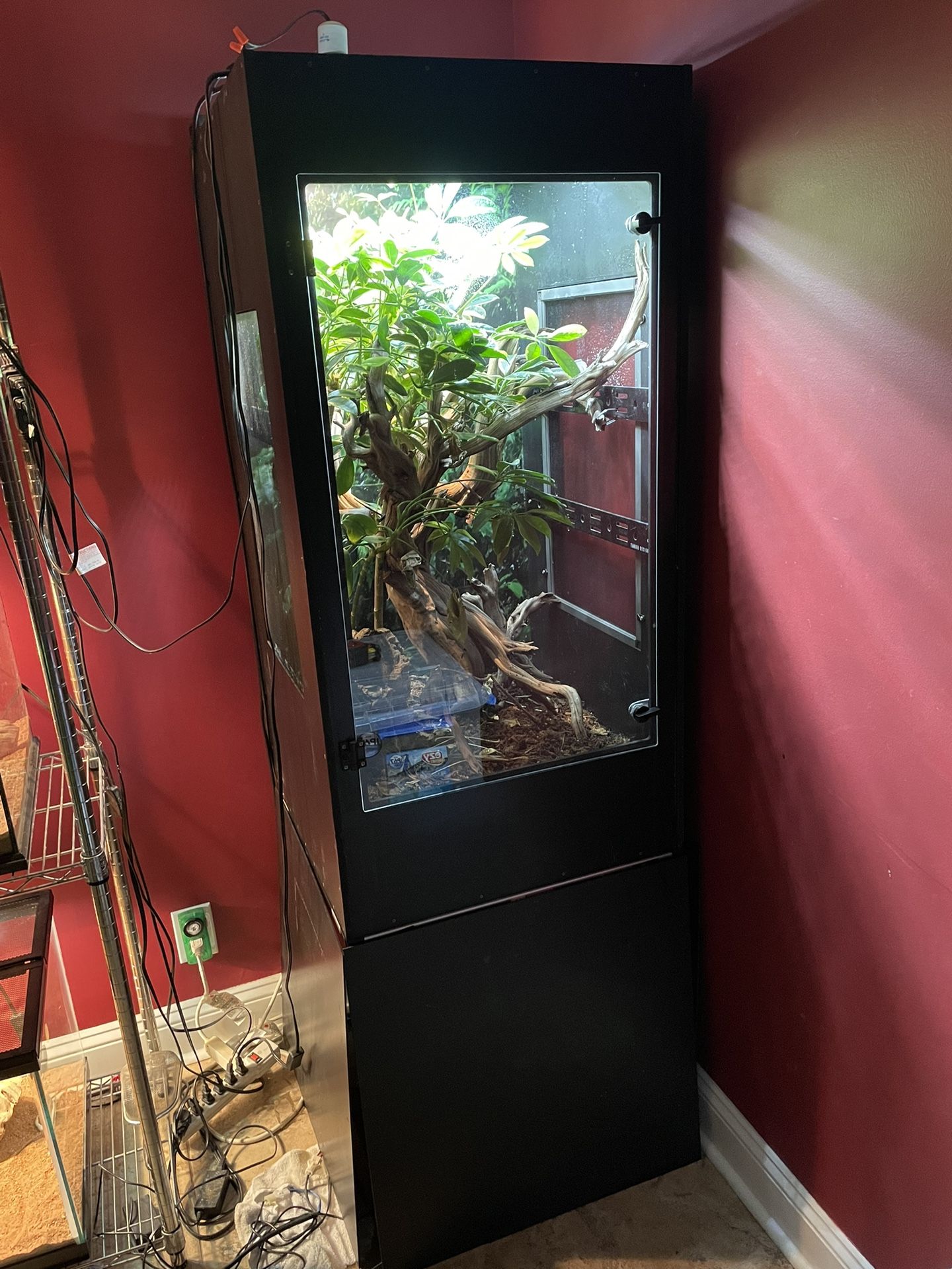 Panther Chameleon Enclosure 