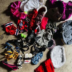 Clothe For Small Dog 