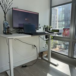 Electronically Adjustable Standing Desk