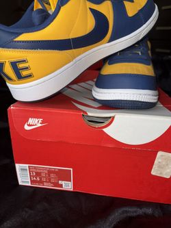 Nike Terminator Low IG size 13 Men’s