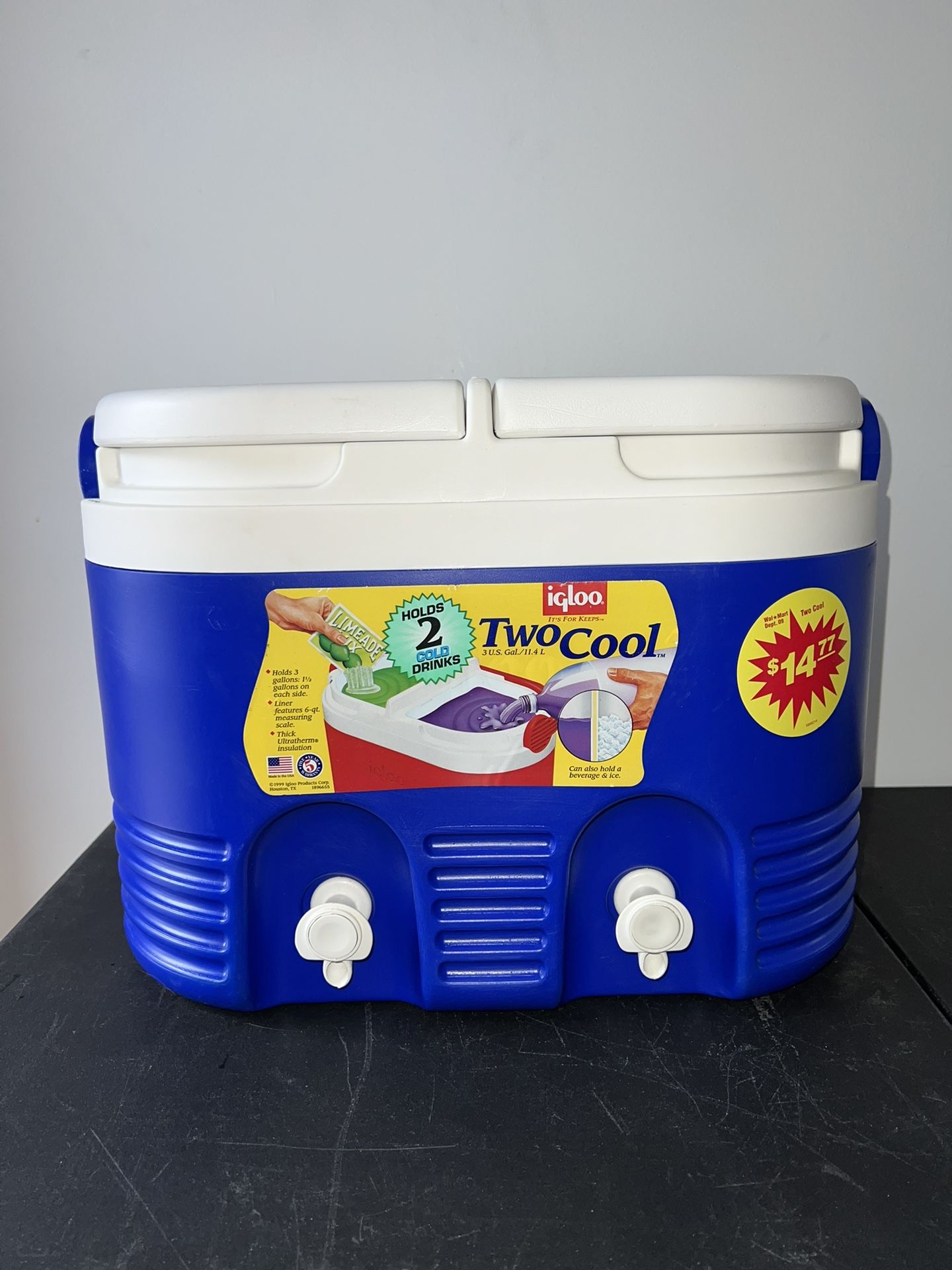 Igloo Two Cool