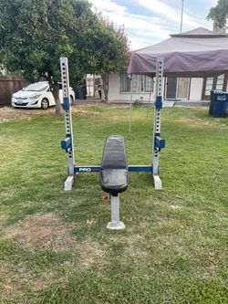 Pro Series Weight Bench with Squat Rack
