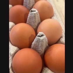 Pasture Raised Farm Fresh Eggs 